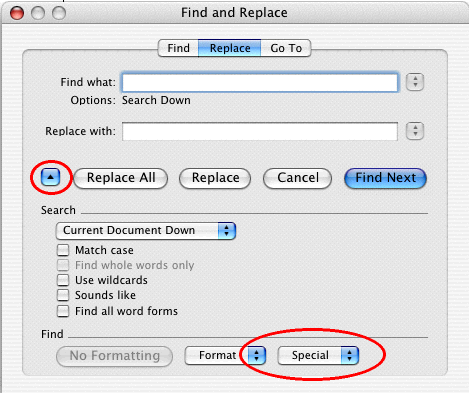 Expanded Replace dialog